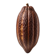 A single ripe dark brown cacao pod, showcasing its distinctive textured surface. This tropical fruit is the primary source of cocoa beans, used in chocolate and confectionery.