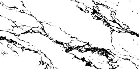 Obraz premium A high-contrast, black and white abstract pattern resembling intricate, organic veins or shattered glass against a pristine white background.