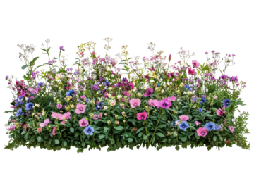 Bush of vibrant flowers featuring various colors and species stands alone against a transparent background, showcasing the beauty of nature in full bloom during spring