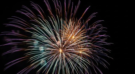 Colorful fireworks exploding in a dark night sky celebration