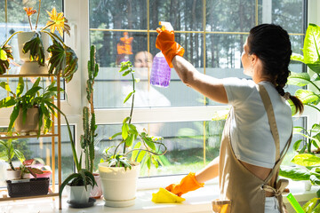 Woman in rubber gloves and apron manually washes window of house with rag cleaner and mop inside interior with home plants on windowsill. Restoring order and cleanliness in spring, cleaning servise