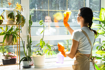Woman in rubber gloves and apron manually washes window of house with rag cleaner and mop inside interior with home plants on windowsill. Restoring order and cleanliness in spring, cleaning servise