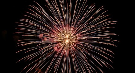 Obraz premium Exploding colorful firework on black night sky, celebration
