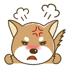 怒っている表情の柴犬のイラスト