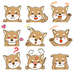 柴犬のいろいろな表情のセット