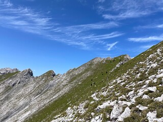 Wanderung Biberwier Handschuhspitze