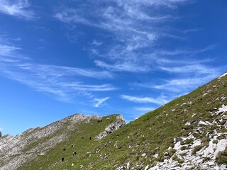 Wanderung Biberwier Handschuhspitze