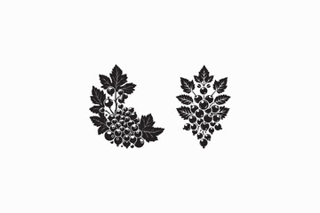 Black Currant fruit vector silhouettes image made by adobe illustrator. eps