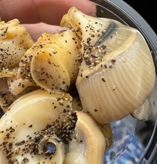 Close up of whelks or shellfish sprinkled with pepper