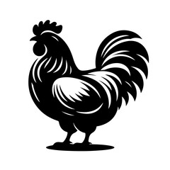 chicken black and white vector illustration, isolated on white background