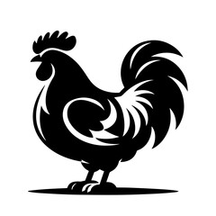 chicken black and white vector illustration, isolated on white background