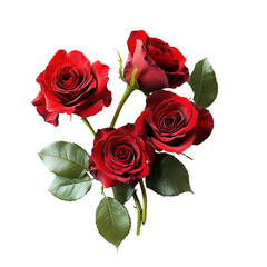 Fototapeta premium Dark Red Roses Bouquet Romantic Flowers Black Background,