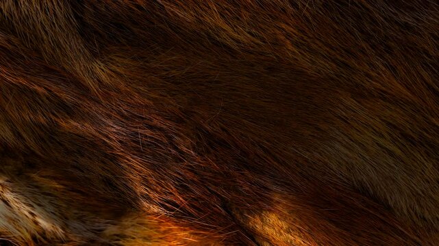Red brown fur animation background. 4K video.