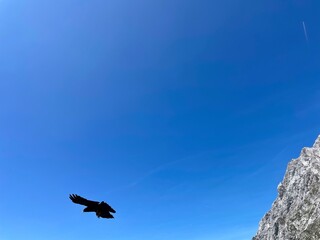 Urlaub, Kroatien, Insel, Krk