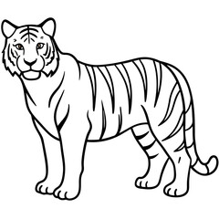 Roaring Grace White Tiger Full Body Line Drawing