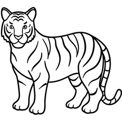 Roaring Grace White Tiger Full Body Line Drawing