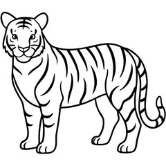 Roaring Grace White Tiger Full Body Line Drawing
