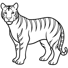 Roaring Grace White Tiger Full Body Line Drawing