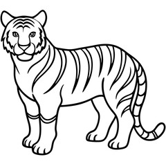 Roaring Grace White Tiger Full Body Line Drawing