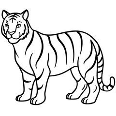 Roaring Grace White Tiger Full Body Line Drawing