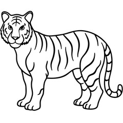 Roaring Grace White Tiger Full Body Line Drawing