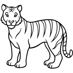 Roaring Grace White Tiger Full Body Line Drawing