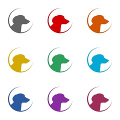 Dog head icon isolated on white background. Set icons colorful