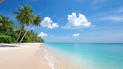 Tropical beach with clear water and palm trees swaying under bright sky, open horizon for copy space