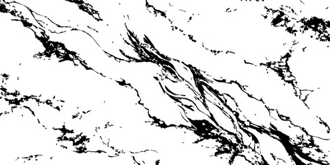 A high-contrast, black and white abstract pattern resembling intricate, organic veins or shattered glass against a pristine white background.