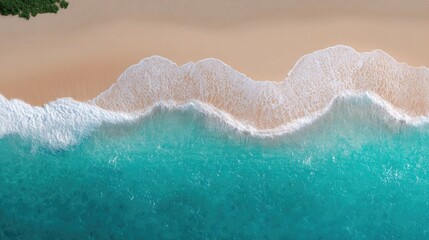 Fototapeta premium Clean turquoise wave with white foam line rolling toward a smooth, untouched beach