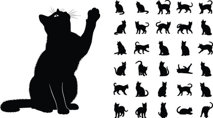 Silhouette of a cat reaching up with many other cat silhouettes