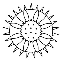 Sea Slug Ink Line Design