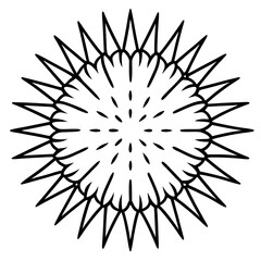 Fototapeta premium Sea Slug Ink Line Design