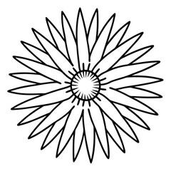 Sea Slug Ink Line Design