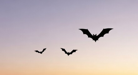 Fototapeta premium Bats in Twilight: Silhouette of bats soaring through the dusky sky during twilight, with wings outstretched against the backdrop of a serene, gradient sky