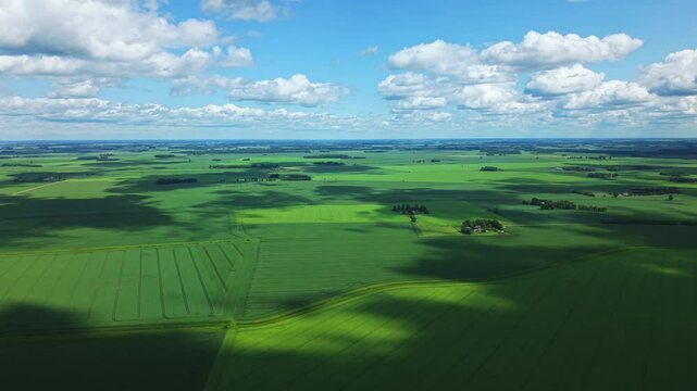 Aerial drone iew of vast green fields of growing grain with dramatic cloud shadows cast across the landscape