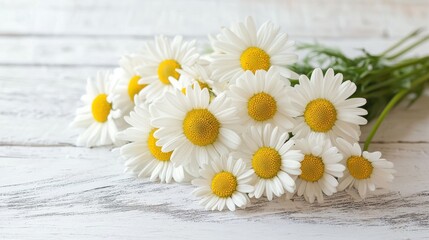 Fototapeta premium Lovely Arrangement of Daisies on a Rustic White Wooden Surface