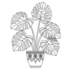 Plant illustration vector style coloring page 