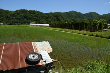 里山の田園風景