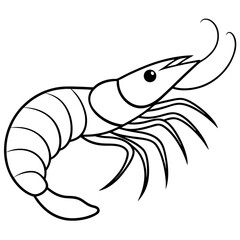 Shrimp Outline Vector