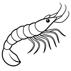 Shrimp Outline Vector