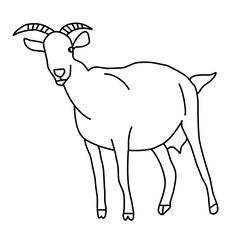 Goat line vector