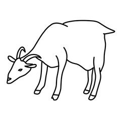 Goat line vector