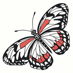 An illustration of a beautiful butterfly with black, white and red accents