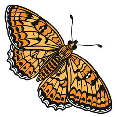 Beautiful orange butterfly with intricate black patterns on its wings on white