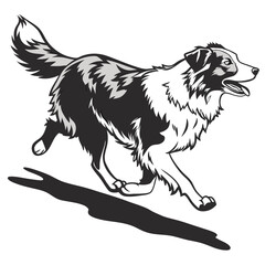 Black and White Border Collie Running with Shadow Illustration on White Background