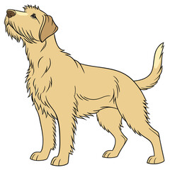 Cartoon illustration of a dog standing and looking up with a furry face
