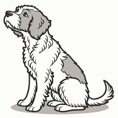 Cute fluffy dog illustration sitting looking upwards with a hopeful gaze