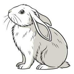 Cute Grey and White Cartoon Rabbit Illustration with Long Ears and Whiskers
