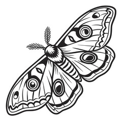 Detailed line art illustration of a patterned moth with prominent eyespots